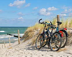 Greenhouse School an der mecklenburgischen Ostsee